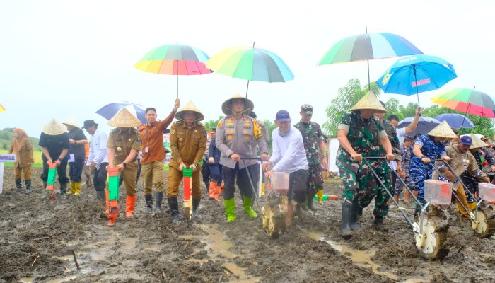 Dukung Program Ketahanan Pangan, Kapolda Sulsel Ikut Tanam Jagung Serentak di Kabupaten Jeneponto