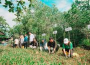 Pertamina Patra Niaga IT Bitung Gaungkan Semangat Pelestarian Lingkungan yang Inklusif Lewat Aksi Bersih Pantai dan Penanaman Mangrove