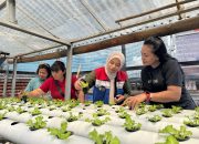 Kolaborasi Hijau Wujudkan Ketahanan Pangan Keluarga, Pertamina Patra Niaga IT Bitung Dukung Pemberdayaan Ibu Rumah Tangga Melalui Hidroponik