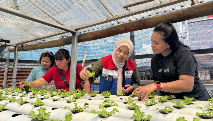 Kolaborasi Hijau Wujudkan Ketahanan Pangan Keluarga, Pertamina Patra Niaga IT Bitung Dukung Pemberdayaan Ibu Rumah Tangga Melalui Hidroponik