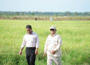 Capaian Spektakuler 4 Juta Ton Cadangan Beras, Mentan Amran Sulaiman Ucapkan Terima Kasih Kepada Petani Dan Seluruh Stakeholders