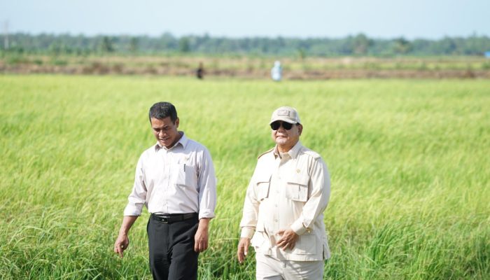Capaian Spektakuler 4 Juta Ton Cadangan Beras, Mentan Amran Sulaiman Ucapkan Terima Kasih Kepada Petani Dan Seluruh Stakeholders