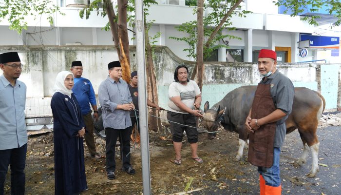 Wali Kota Munafi dan Wawali Aliyah Saksikan Penyembelihan Hewan Kurban Pemkot Makassar