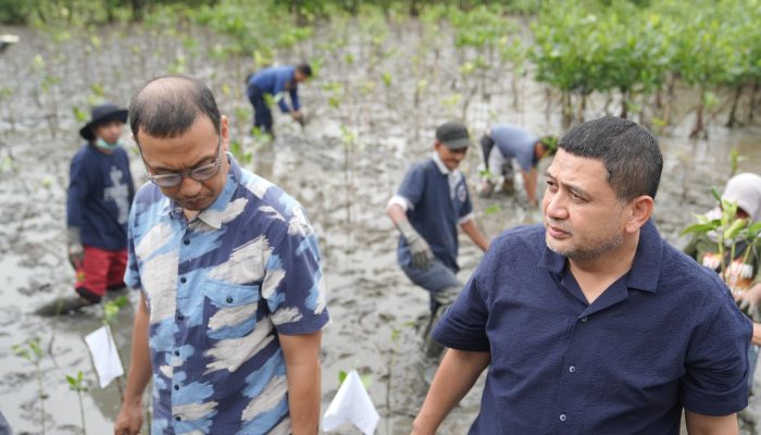 Wali Kota Munafri Tekankan Manfaat Mangrove untuk Lingkungan dan Ekonomi