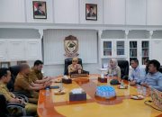 Aliyah Mustika Ilham Bahas Inovasi Digitalisasi Pajak Daerah
