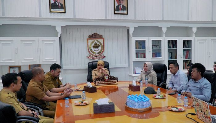 Aliyah Mustika Ilham Bahas Inovasi Digitalisasi Pajak Daerah