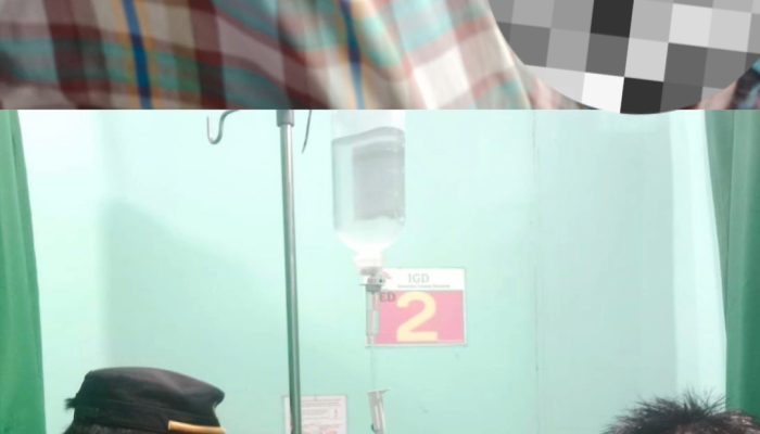 Polres Luwu Selidiki Motif Duel Berdarah di Kebun Kakao