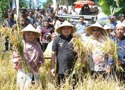 Petani Makassar Siapkan Strategi, Langkah Nyata Jaga Kemandirian Pangan