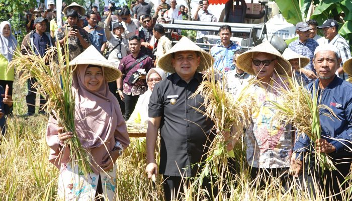 Petani Makassar Siapkan Strategi, Langkah Nyata Jaga Kemandirian Pangan