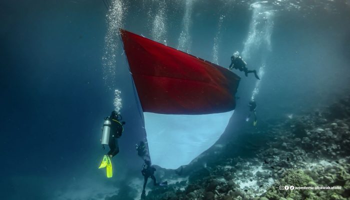 Menakjubkan, Pertamina Patra Niaga Sulawesi Bentangkan Bendera Raksasa di Bawah Laut Ikon Mata Uang Rp10.000 Wakatobi