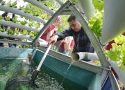 Pemkot Makassar Dorong RT/RW Sukseskan Program Urban Farming