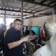 Munafri Dorong Kampung Zero Waste, RT/RW Wajib Punya Urban Farming dan Bank Sampah