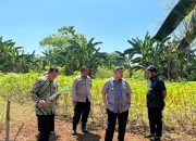 Wali Kota Munafri Tinjau Aset di Manggala, Siap Jadi Ruang Hijau dan Lapangan Publik