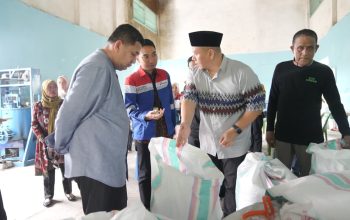 Wali Kota dan Ketua TP PKK Makassar Tinjau Urban Farming-Bank Sampah Program CSR Pertamina di Kecamatan Ujung Tanah