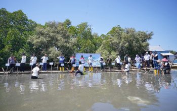 Perkuat Program Ecoeduwisata Mangrove, Pertamina Patra Niaga Berkolaborasi dengan Pemkot Makassar
