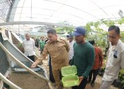 Wali Kota Munafri Dorong Gerakan Urban Farming Berbasis Komunitas