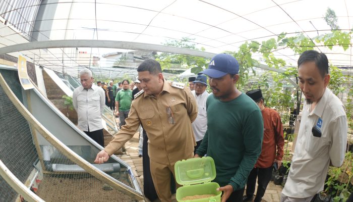 Wali Kota Munafri Dorong Gerakan Urban Farming Berbasis Komunitas