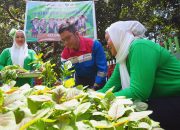Mengintip Keceriaan “Serunya Menanam, Bahagianya Memanen” Kelompok Wanita Tani Binaan Pertamina Patra Niaga Sulawesi