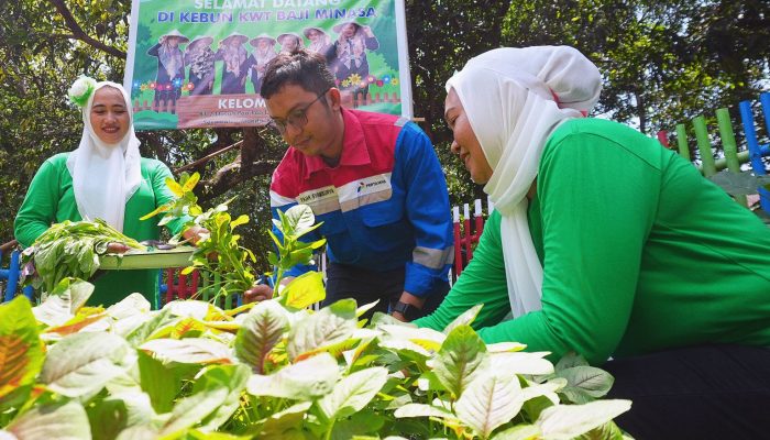 Mengintip Keceriaan “Serunya Menanam, Bahagianya Memanen” Kelompok Wanita Tani Binaan Pertamina Patra Niaga Sulawesi