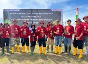 Lewat Program Mata Siaga, Pertamina Patra Niaga Gerakkan Penanaman 1.000 Mangrove di Kendari