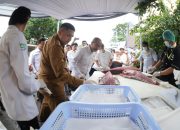 Munafri Arifuddin Lepas Ekspor Perdana Gurita, Nelayan Makassar Didorong Naik Kelas