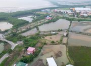 Stadion Untia Masuk Proyek Strategis 2026, Pemkot Makassar Buka Tender