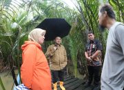 Pemkot Makassar Prioritaskan Pembangunan Jembatan Kaccia, Jawaban atas Keluhan Warga Barombong Bertahun-tahun