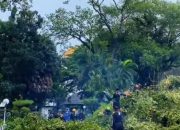 Cuaca Ekstrem Terjang Makassar, 102 Pohon Tumbang dalam Sebulan
