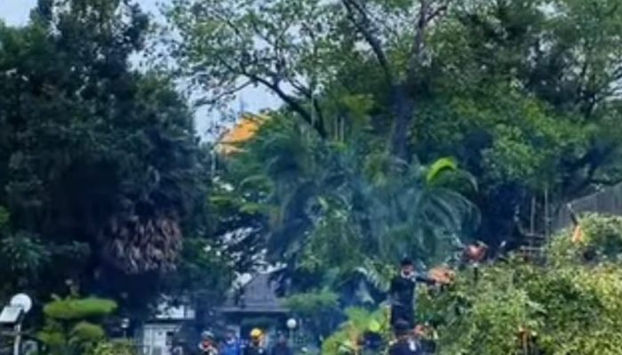 Cuaca Ekstrem Terjang Makassar, 102 Pohon Tumbang dalam Sebulan