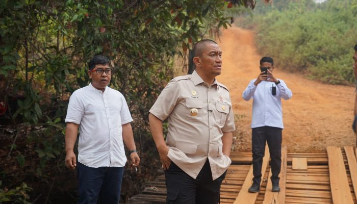 Bupati Irwan Tinjau Jembatan Rusak di Towuti, Jalan Beton 3 Km Juga Dikebut