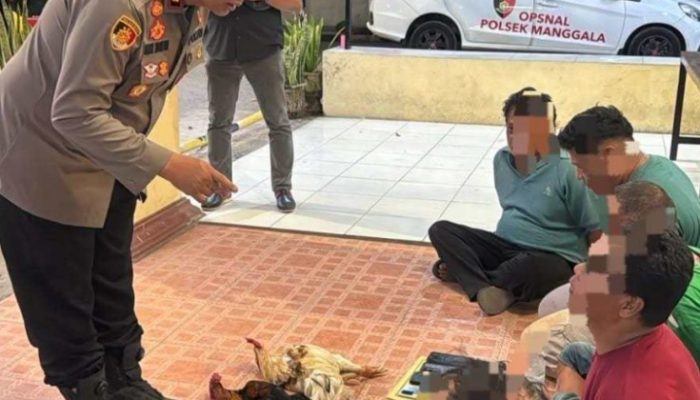 Lima Orang Diamankan saat Polisi Sisir Dugaan Sabung Ayam di Manggala, Satu Bawa Badik
