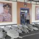 Penyu Dilindungi Diduga Hendak Diselundupkan, Polda Bali Amankan 22 Ekor